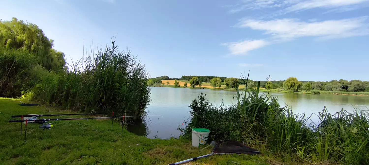 Domolosi-tó horgászhely képe – Szigetvár