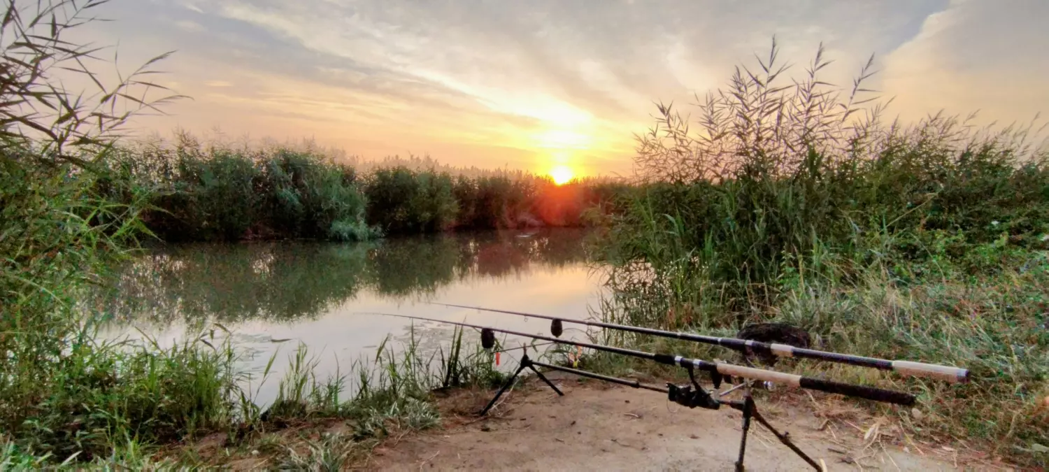 Duna–Tisza-csatorna horgászhely képe – Dunaharaszti
