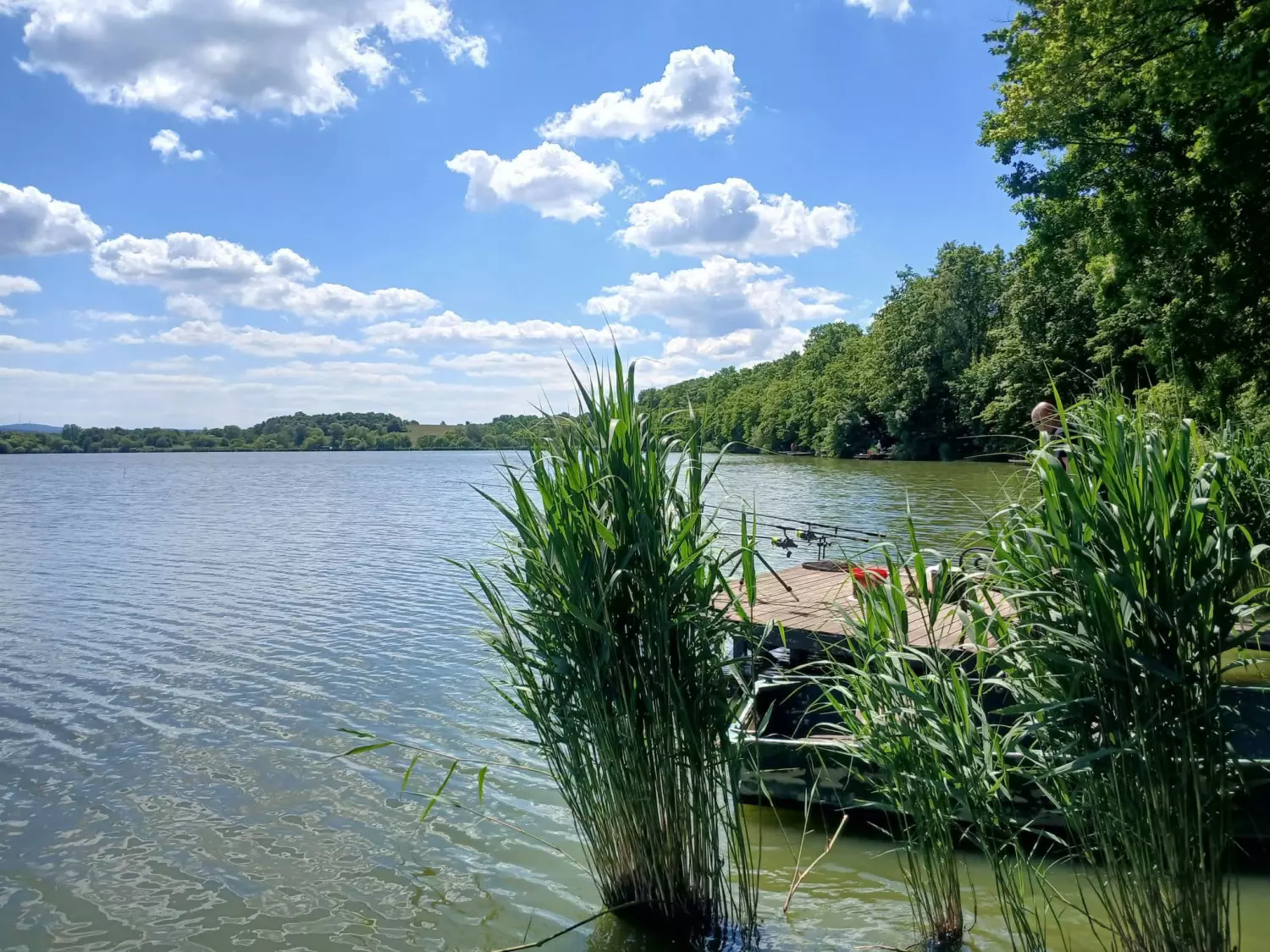 Széki tó horgászhely képe – Devecser