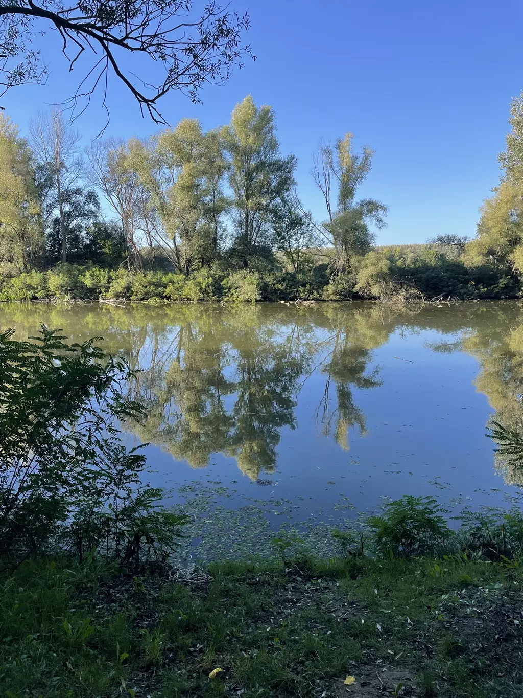Kis-Tisza holtág horgászhely képe – Szabolcs