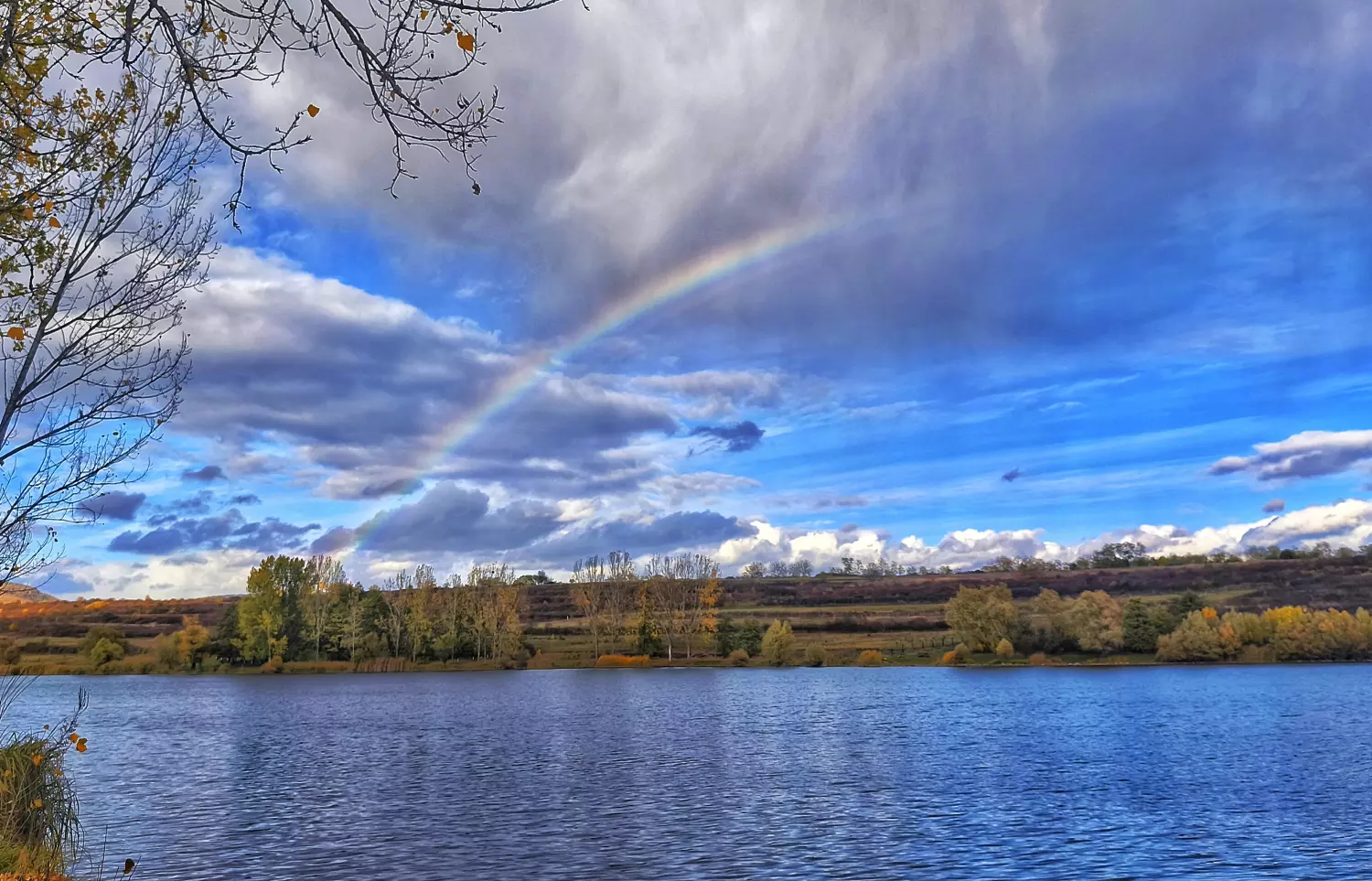 Borítókép – Bojlis és feederes horgászat - technikák haladóknak
