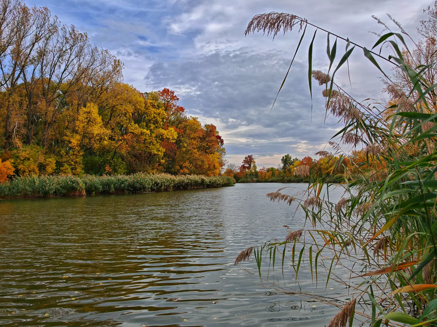 Borítókép – Hogyan kezdj el horgászni? - Teljes útmutató kezdőknek 2026