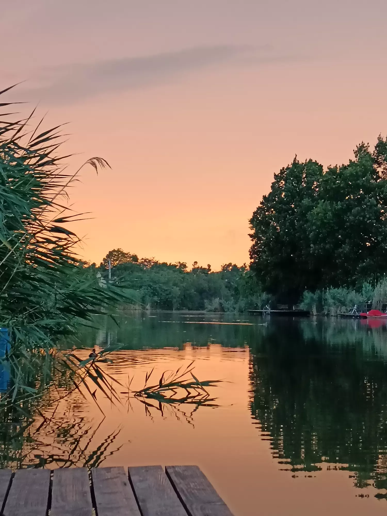 Horgászhely: Hantoskerti-holtág