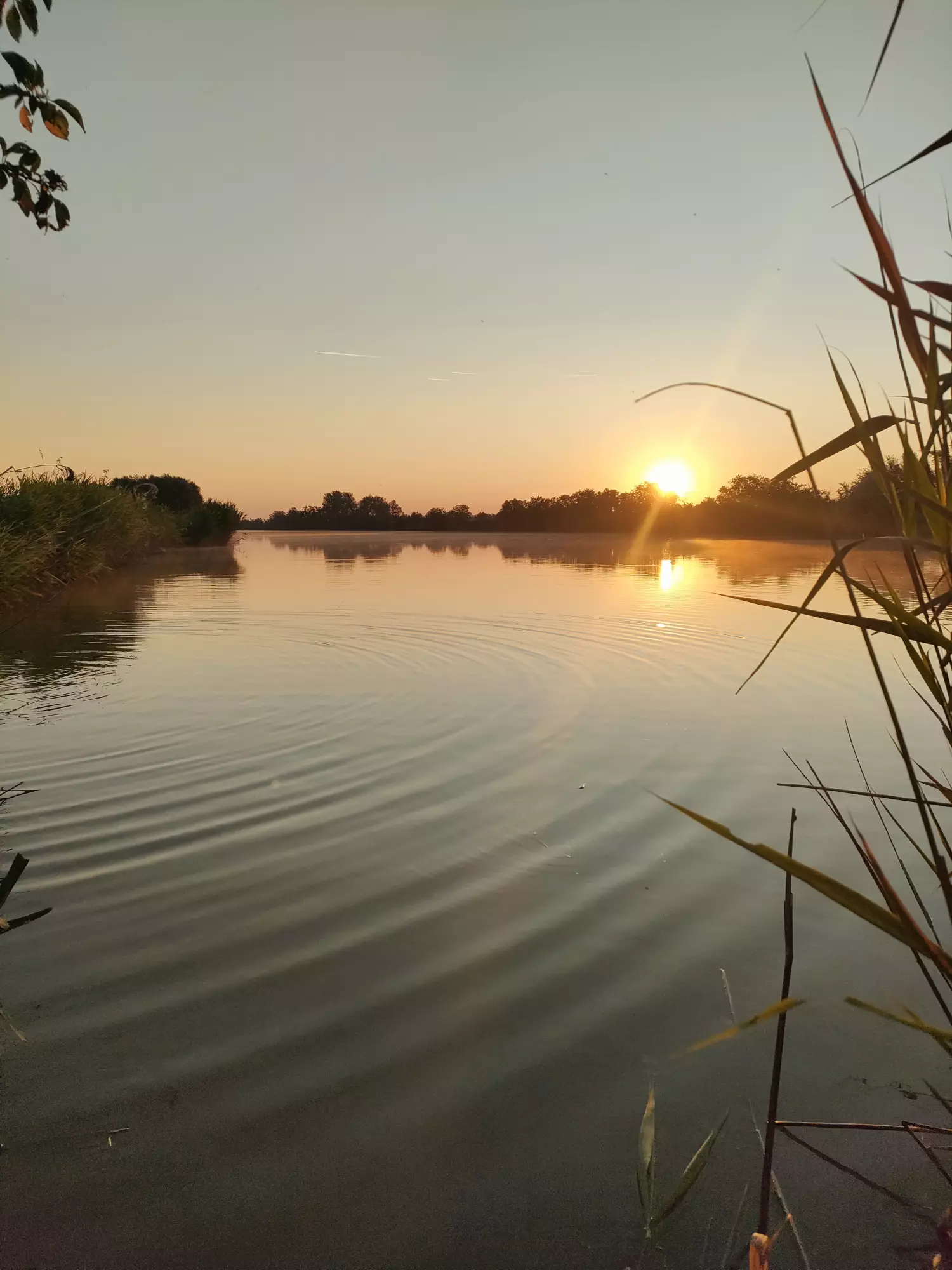 Gyálai Holt-Tisza horgászhely képe – Röszke
