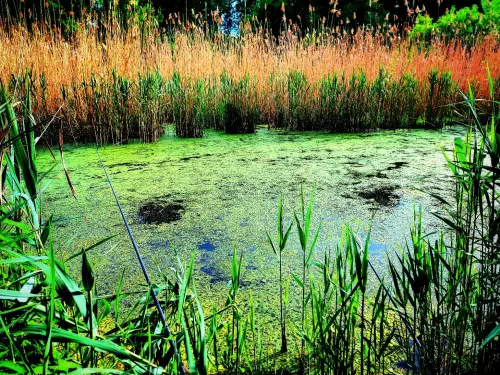 Boros-dráva horgászhely képe – Old