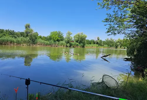 Horgászhely: Poklás-csatorna