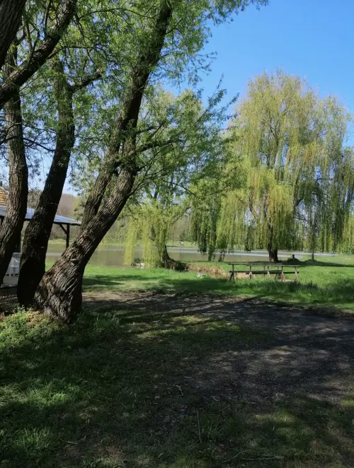 Erdősmároki horgásztó - Galéria kép