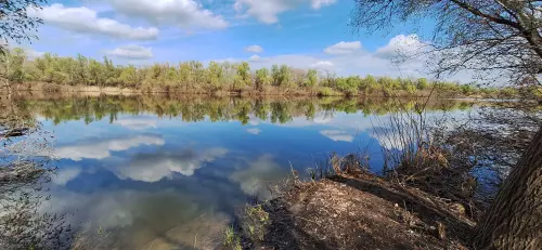 Horgászhely: Ártéri horgásztó