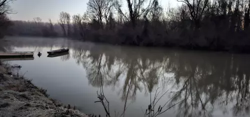 Adonyi holtág - Galéria kép