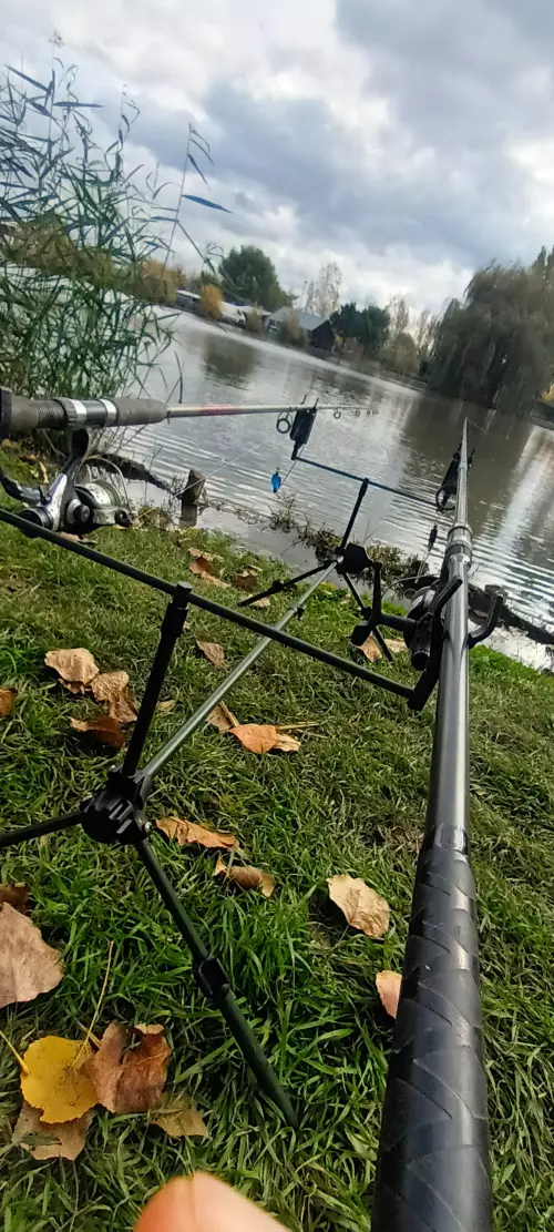 Horgászhely: SAPI NoÁr Horgásztó