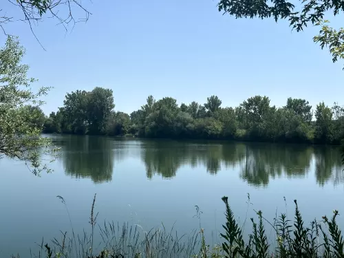 Boldvai tó - Galéria kép