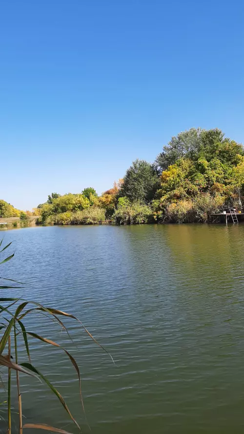 Danzug-holtág - Galéria kép