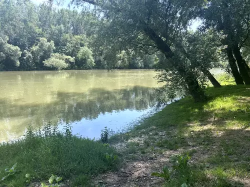 Bodrog folyó - Galéria kép