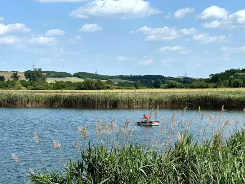 Izsófalvi-tó - Galéria kép