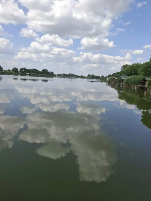 Bácsbokodi Horgásztavak - Galéria kép