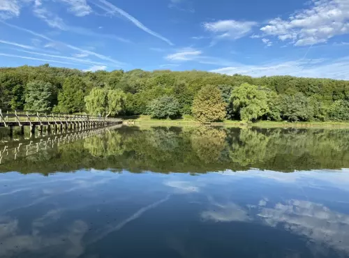 Erdősmároki horgásztó - Galéria kép