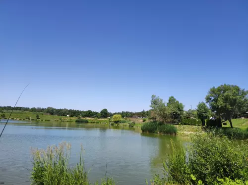 Fish Farm horgásztó - Galéria kép