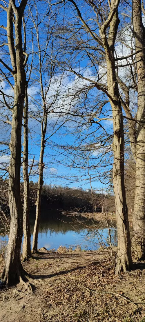 Vadása-tó - Galéria kép