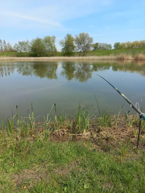 Laskó-patak horgászhely képe – Mezőtárkány