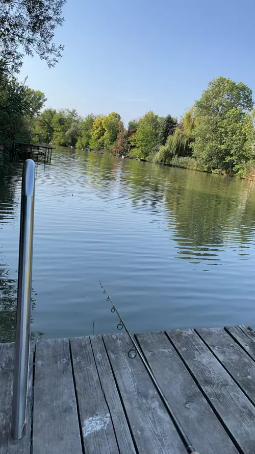 Sóczó-zugi holtág - Galéria kép