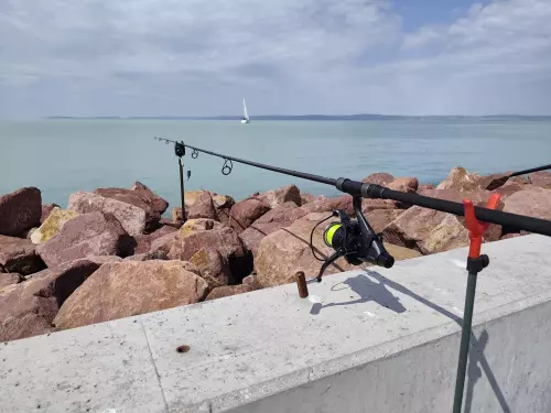 Horgászhely: Balatonaligai partszakasz