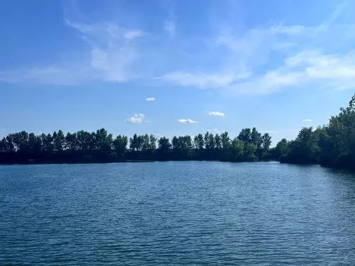 Csécsi-tó - Galéria kép