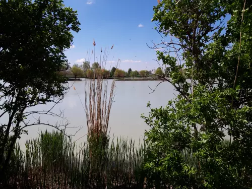 Fisharéna Horgásztó - Galéria kép