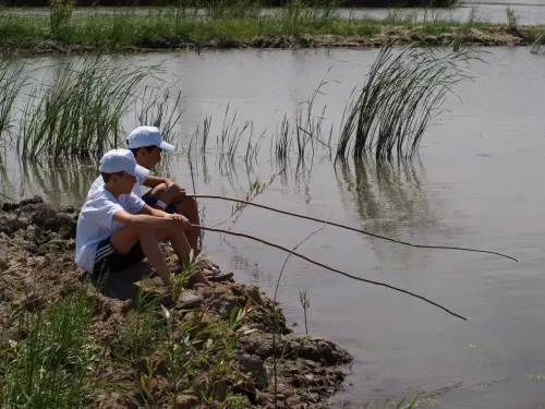 Sarudi Élményfalu - Galéria kép