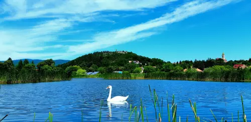 Nógrádi tó - Galéria kép