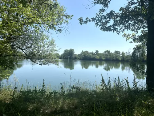 Boldvai tó - Galéria kép