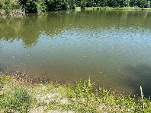 Kondói II. bányató - Galéria kép