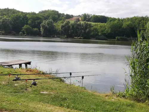 Mókus horgásztó - Galéria kép