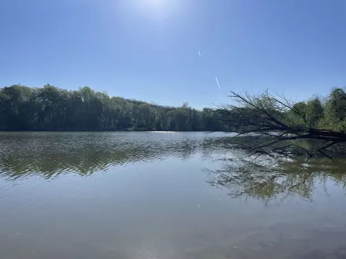 Horgászhely: Nagyteveli víztározó
