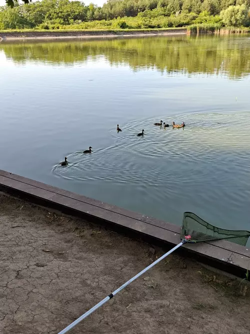 Gombai horgásztó - Galéria kép