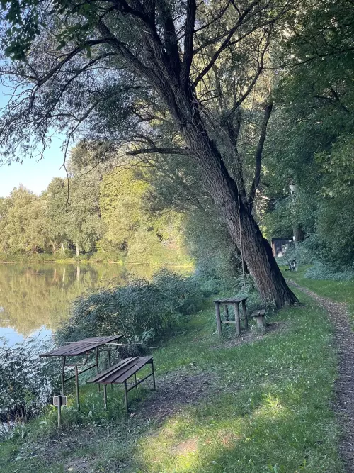 Kis-Tisza holtág - Galéria kép