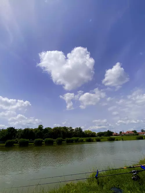 Tiszakécskei holtág - Galéria kép