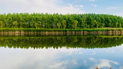 Ároktő Horgásztó horgászhely képe – Ároktő