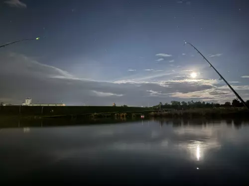 Horgászhely: Mosoni-Duna