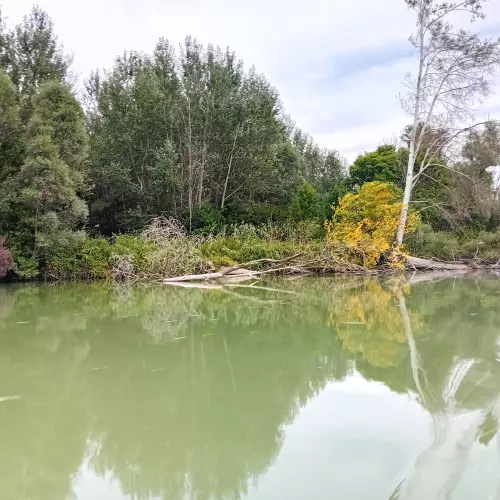 Szigetközi-ágrendszer - Galéria kép