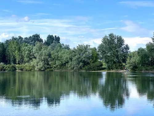 Erdészeti tó - Galéria kép