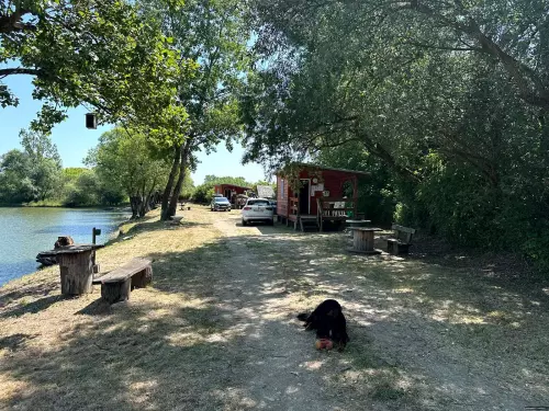 Sajógalgóci Horgászpark - Galéria kép