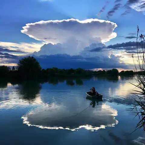 Fisharéna Horgásztó - Galéria kép