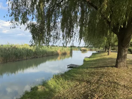 Nádaspart Horgásztó és Szabadidőközpont - Galéria kép