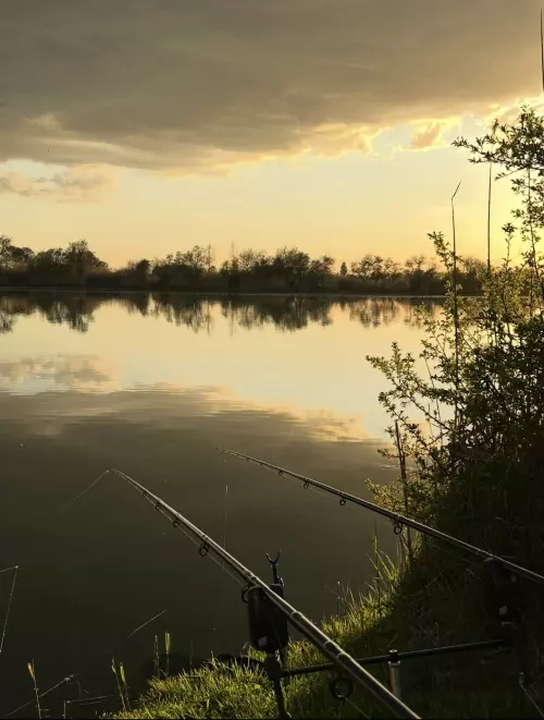 Csaba-tó - Galéria kép