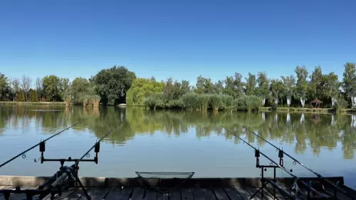 Strandi Horgásztó - Galéria kép