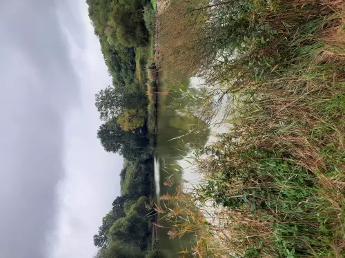 Látóhegyi tavak - Galéria kép