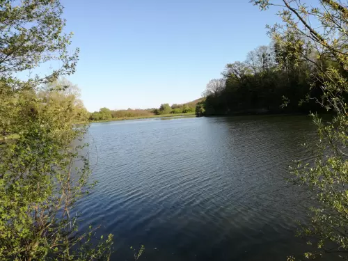 Mecsekpölöskei horgásztó - Galéria kép