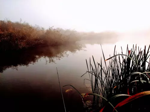 Fűzvölgyi-csatorna - Galéria kép