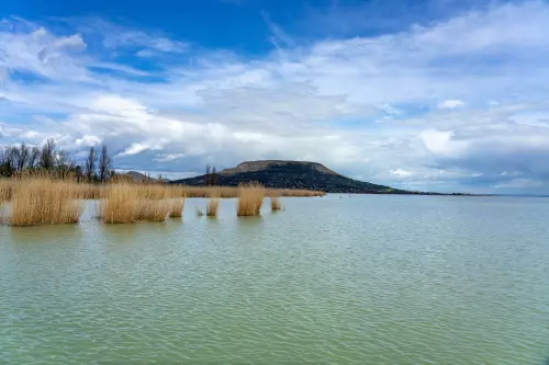 Horgászhely: Balaton, szigligeti partszakasz