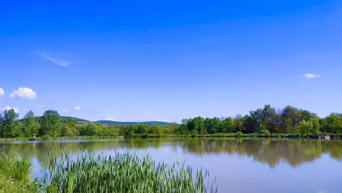 Never Zero Sporthorgásztó - Galéria kép